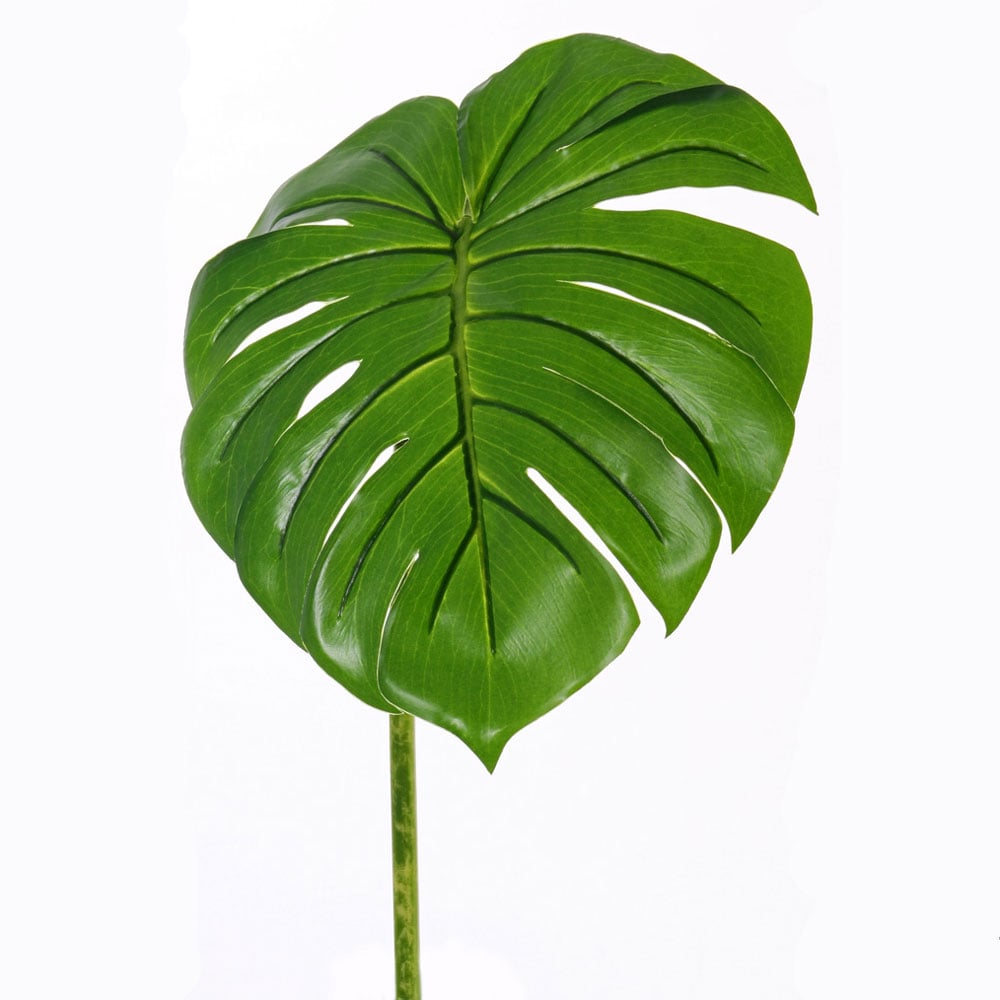 Monstera Leaf Large Faux X00859