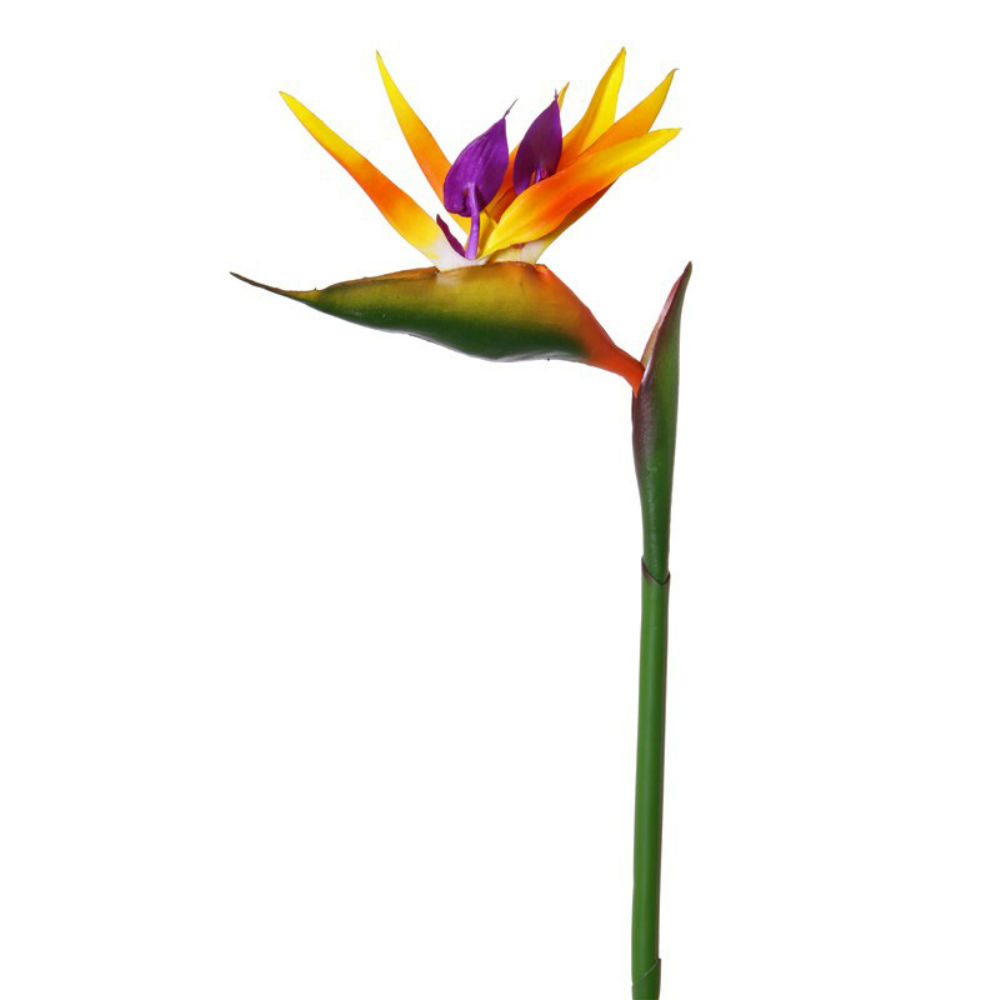 Faux-Strelitzia-or-Bird-of-Paradise-Faux-X00821