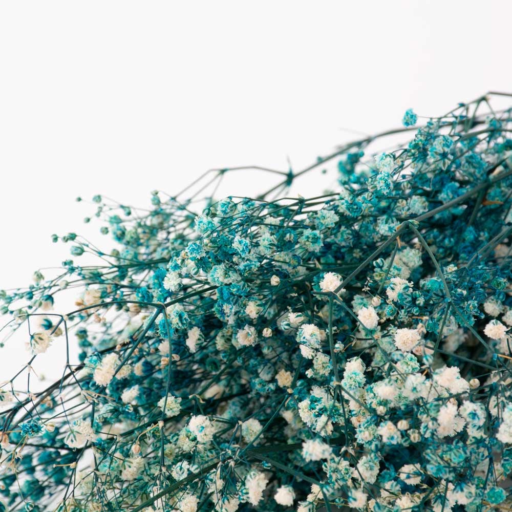 T01289A-Gypsophila-Preserved-Aquamarine-3