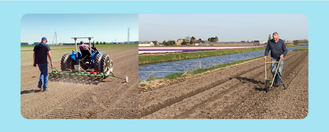 Men sowing seeds by manual seed drill, and using a tractor and seed drill