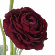 X03146 Faux Ranunculus, Maroon