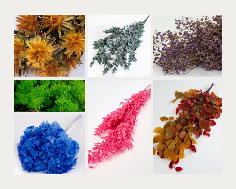 preserved flowers and foliage collage